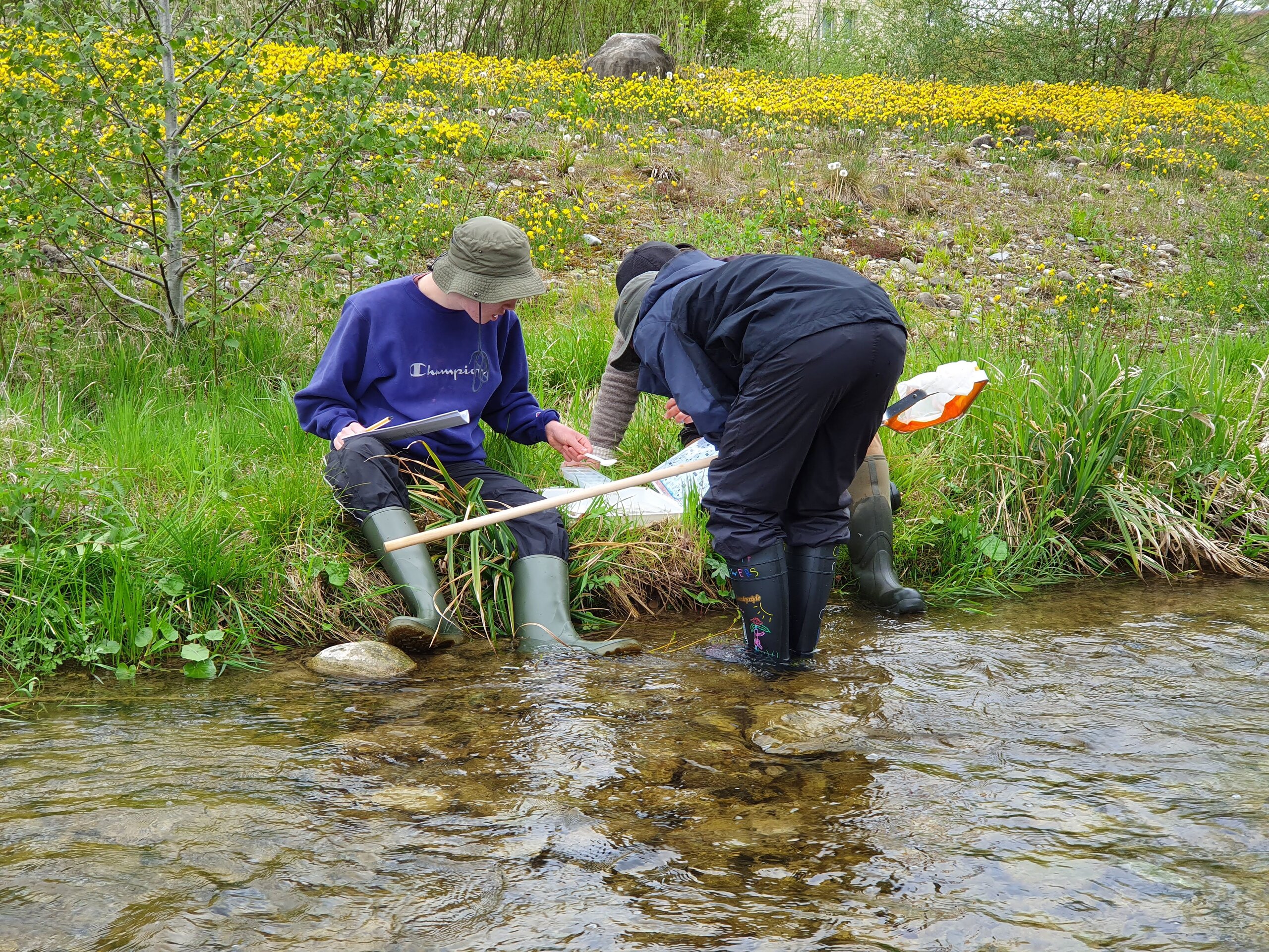 Example IA - Field Work - Water Testing