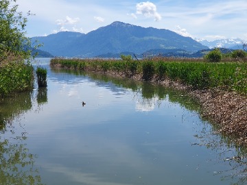 Answers - 4.4 Management of Eutrophication