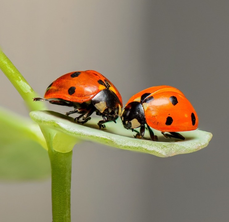Outliers in your Data