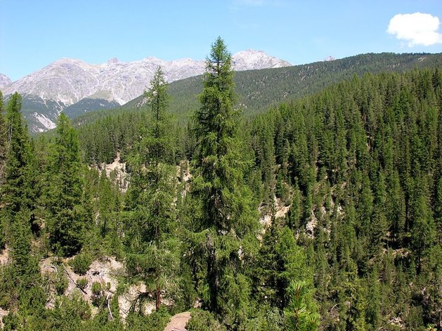 Exploiting Natural Capital Sustainably - Answers