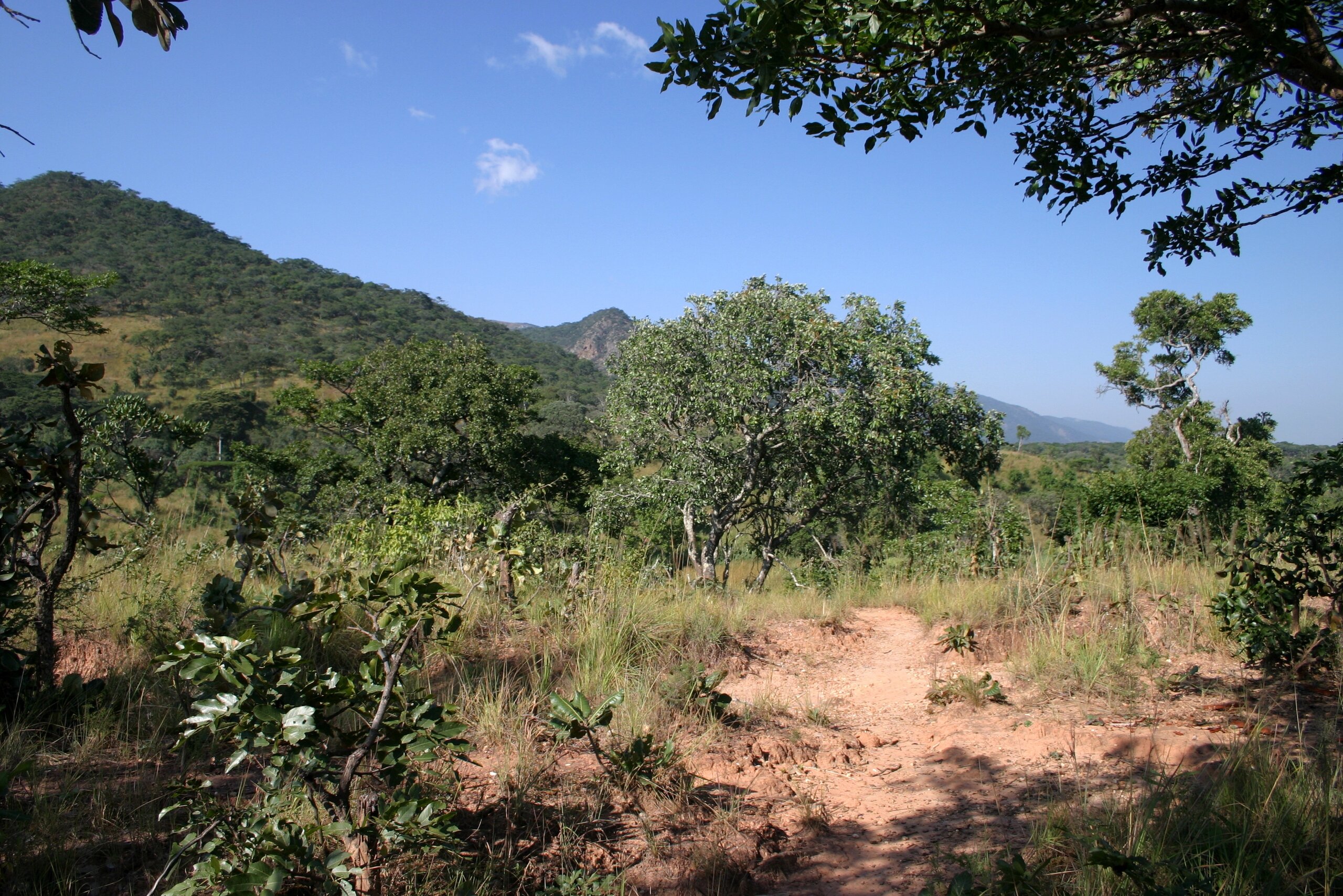 7.1 Miombo ecosystem goods and services and the impact of climate change