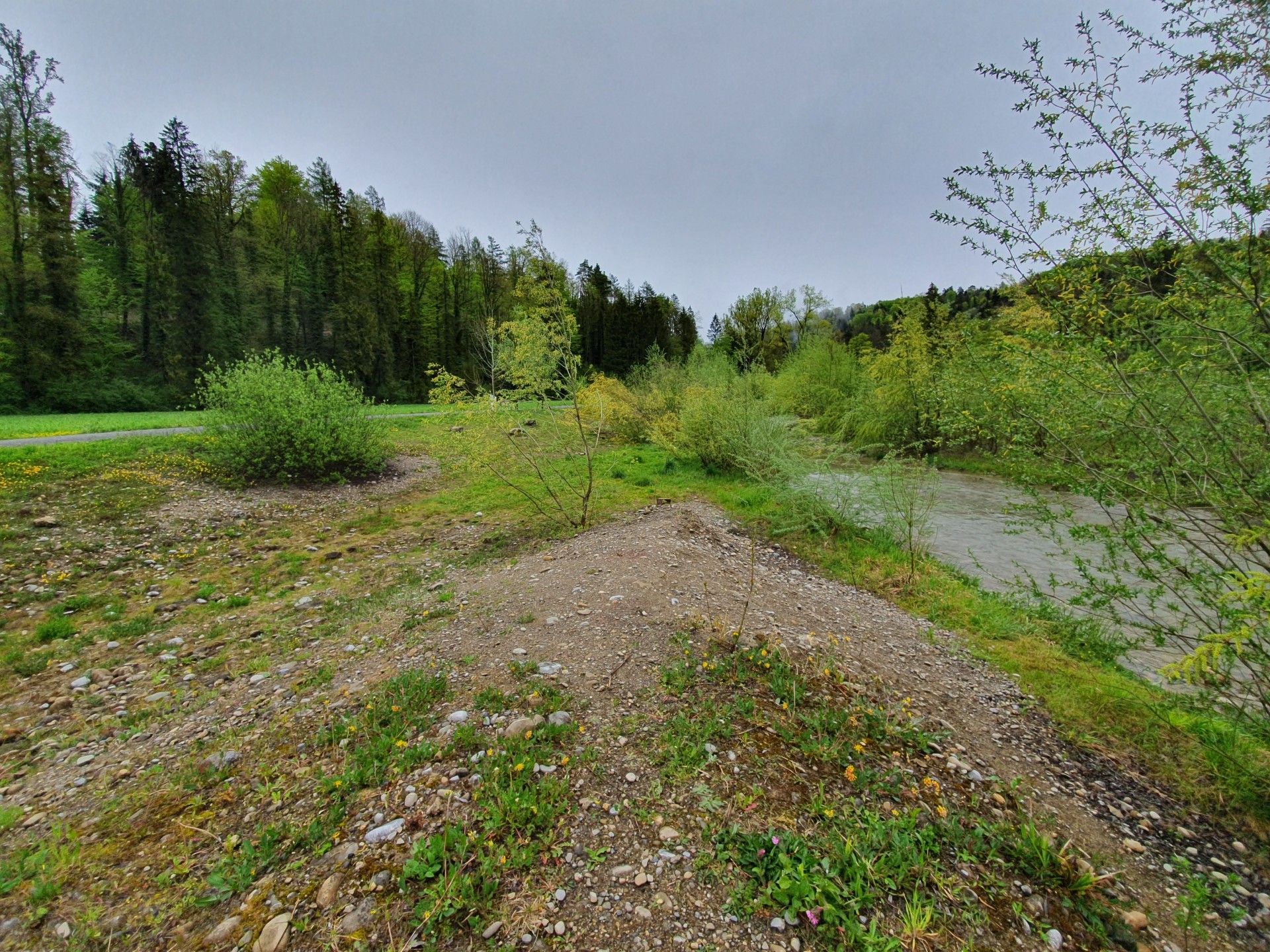 Sampling strategy for non-motile Organisms