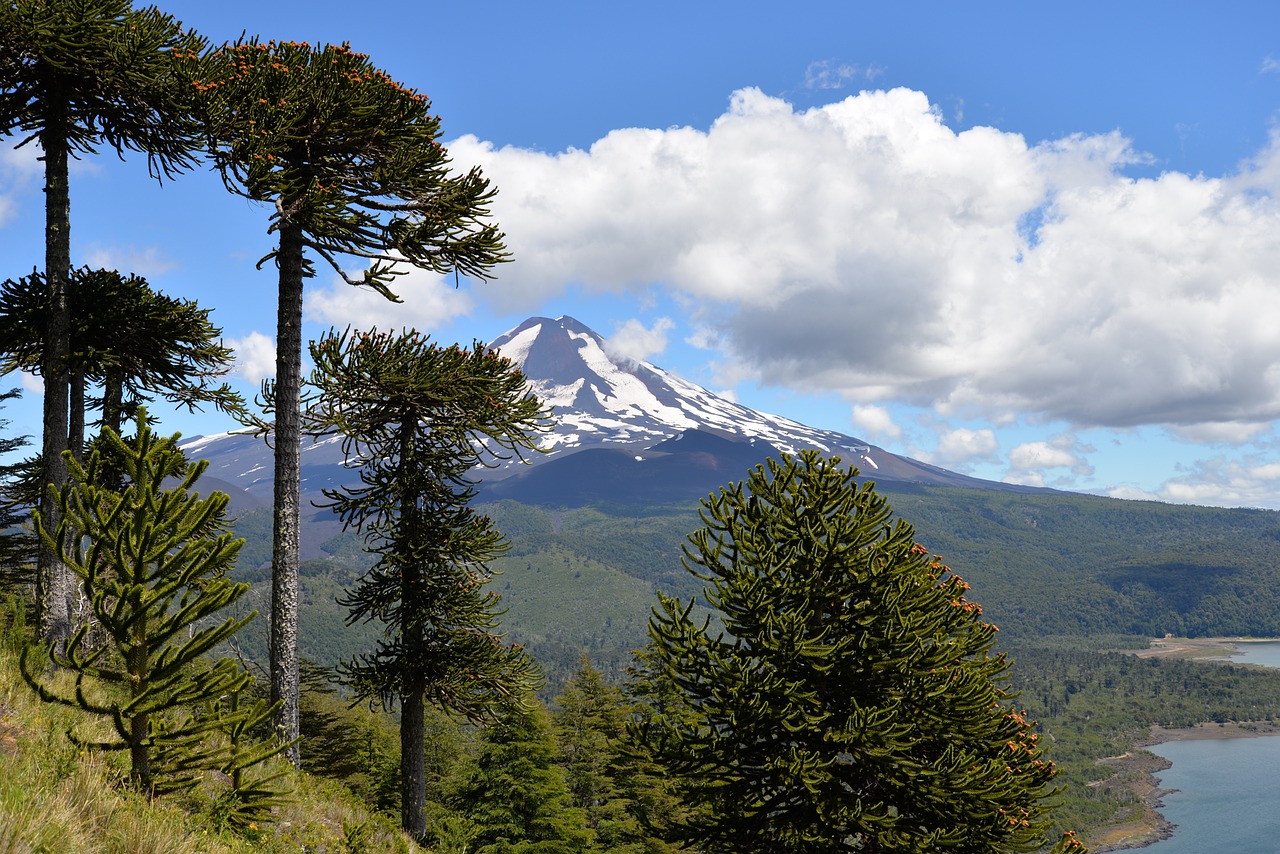 2.5 Zonation, succession and change in ecosystems