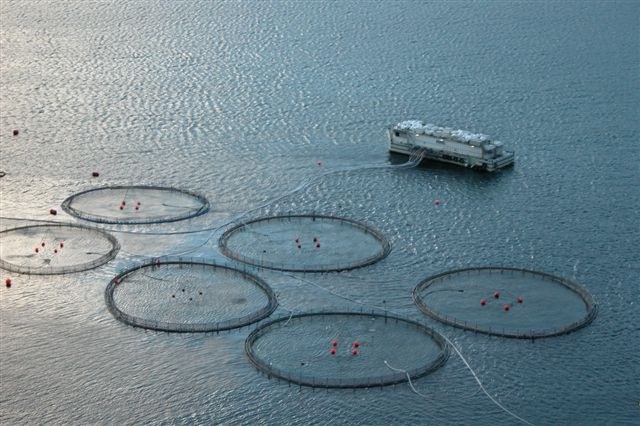 Case Studies - Aquatic Food Production