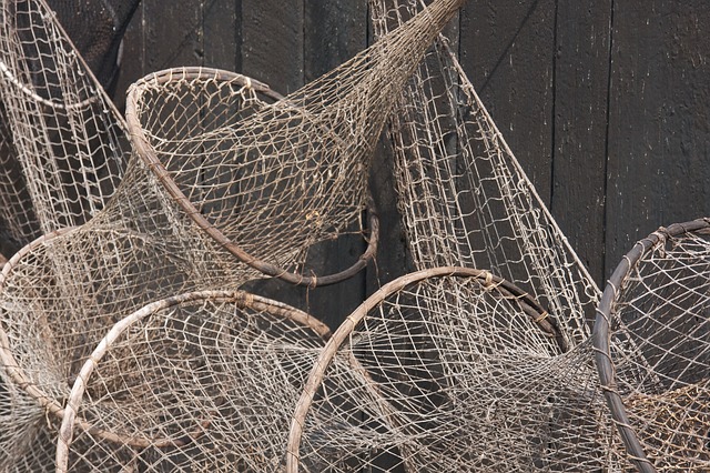 4.3 Aquatic Food Production Technology