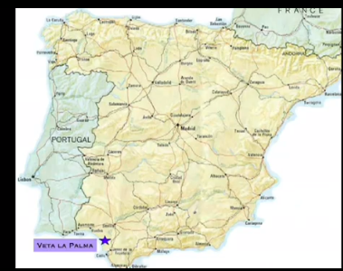 Answers: Veta La Palma Case Study