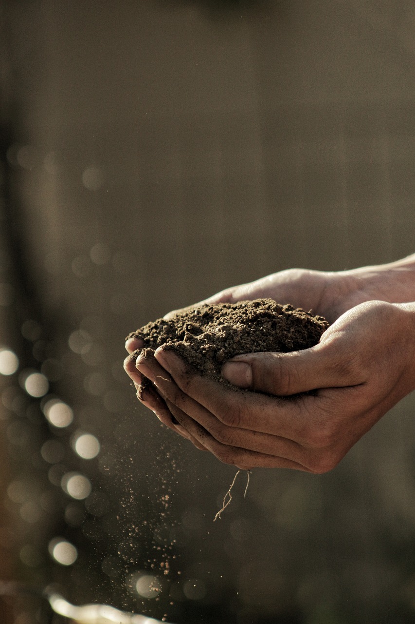 5.1: Soil