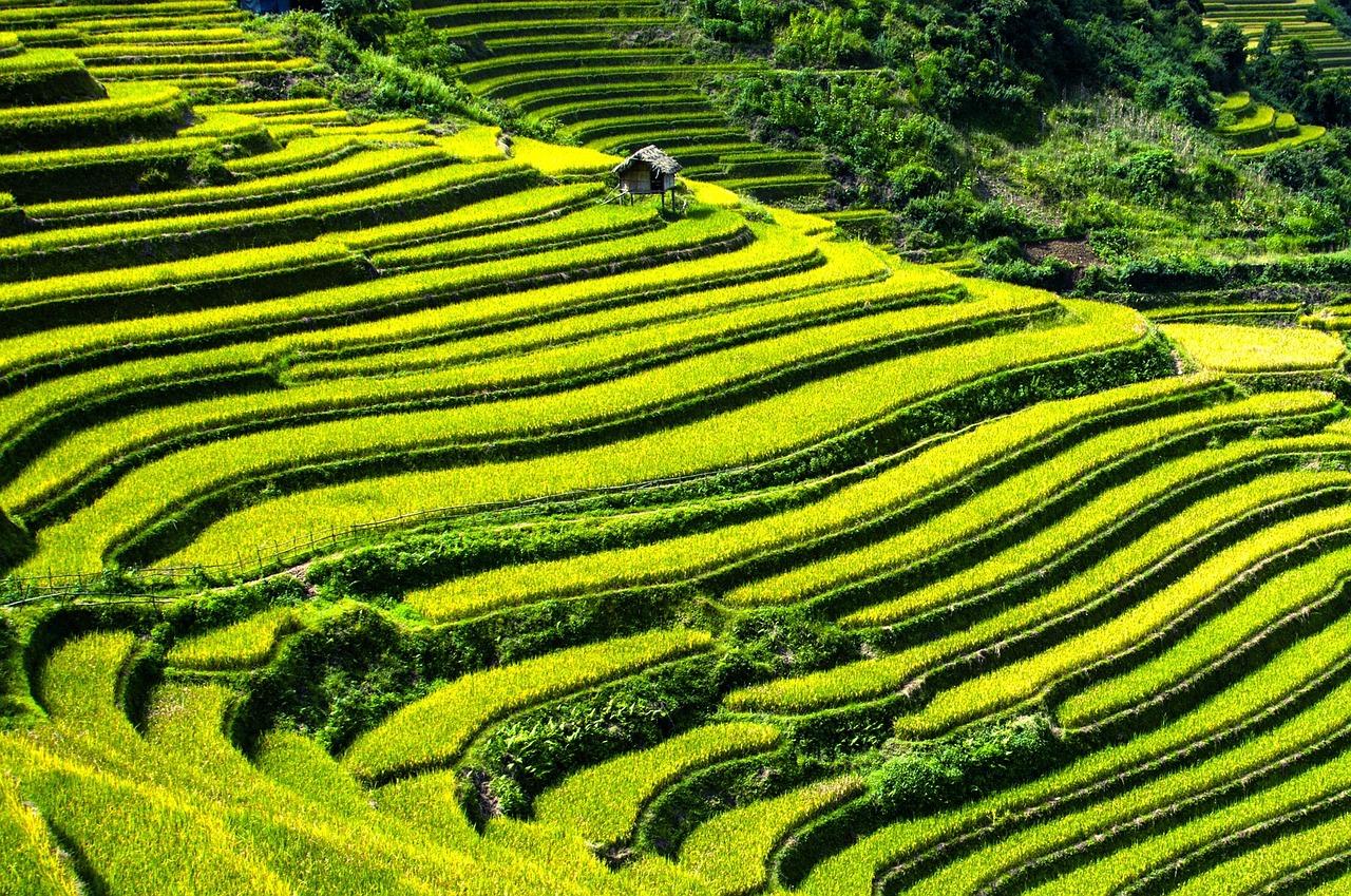 5.2 Food Security