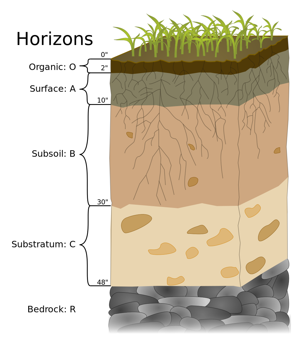 5.1 Soil Documentary