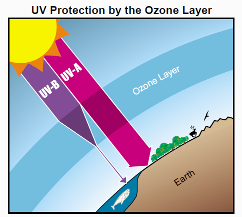 6.4 Stratospheric Ozone Activities