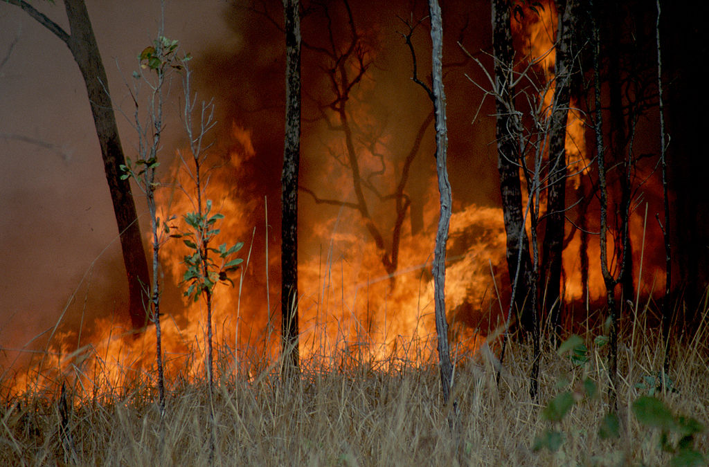 Indigenous Fire Management - Part 1