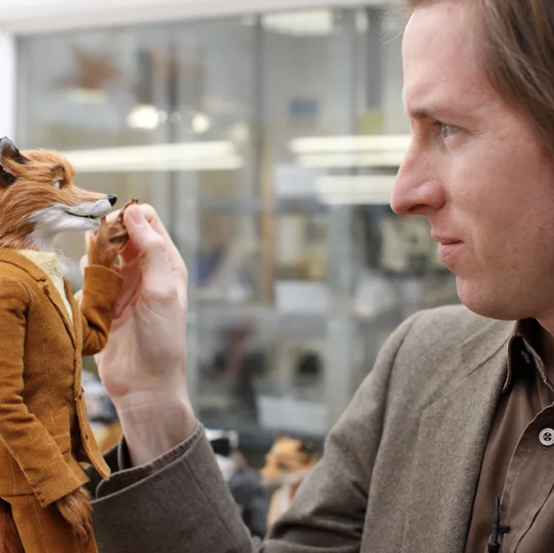 EE Exemplar: Wes Anderson, Childhood & Adulthood