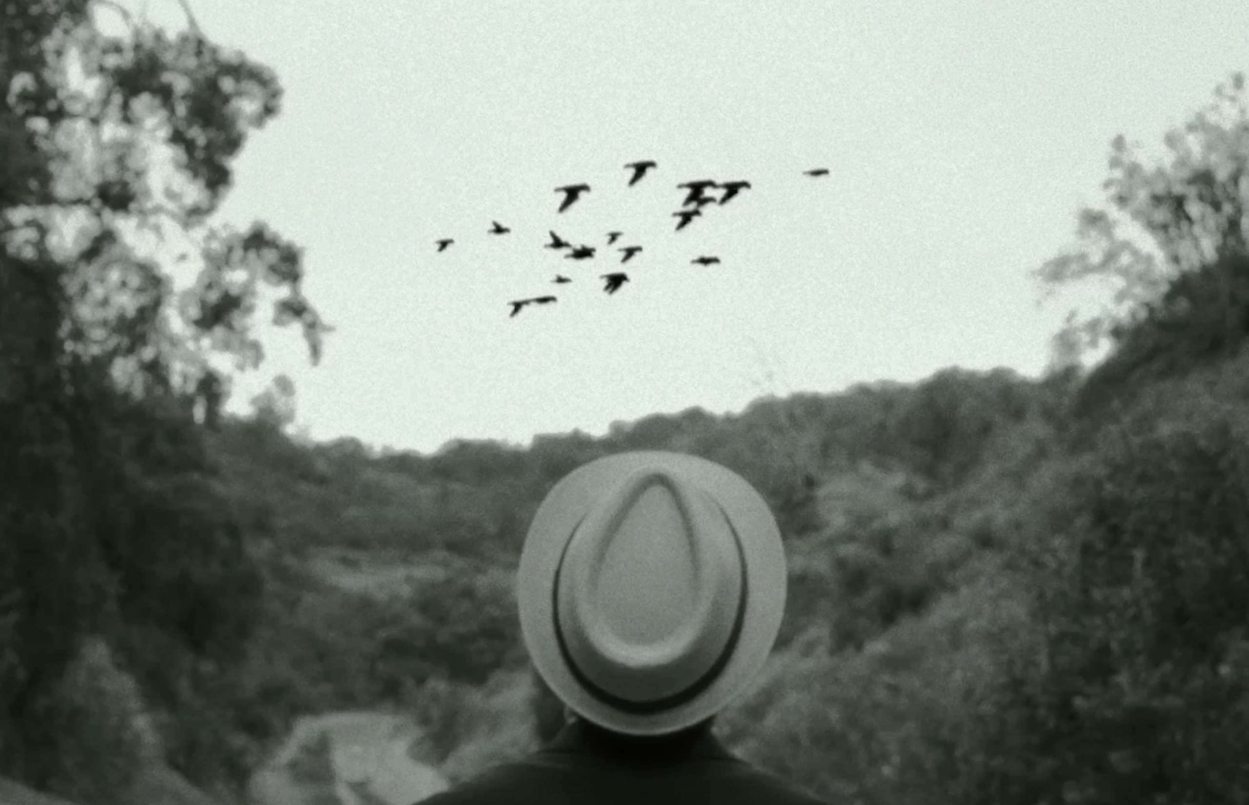 Film Portfolio: Exemplar Three