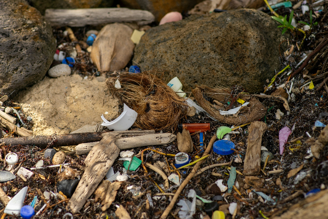 Le plastique envahit une île isolée du Pacifique
