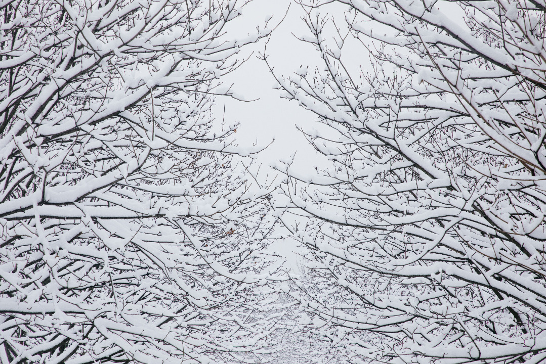 Frédéric : la neige à Montpellier
