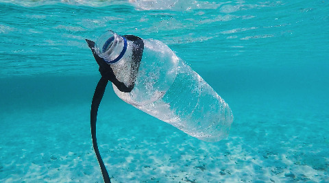 Non au plastique jetable!
