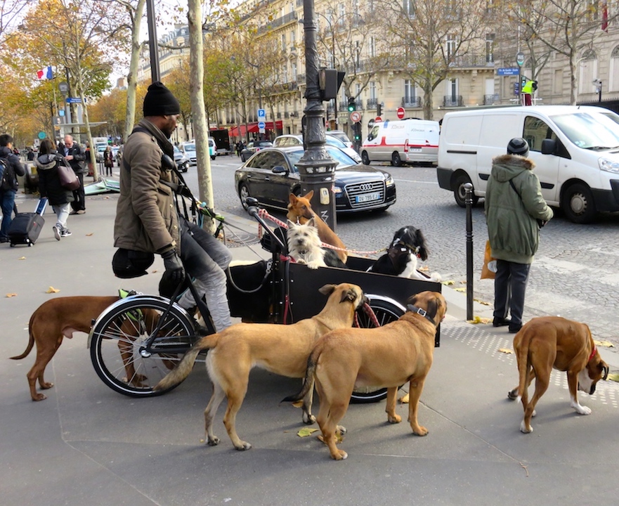 Styles de vie 1