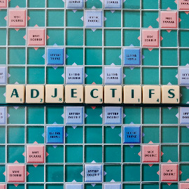 Les adjectifs qualificatifs