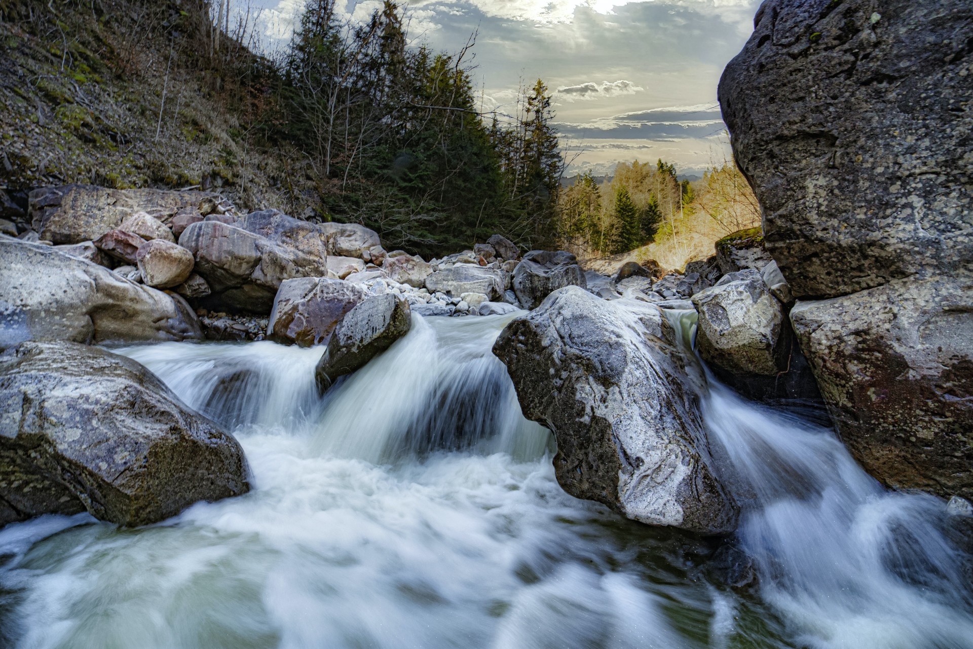 Option A - Freshwater Environments