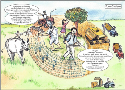 Comparing Farming Systems