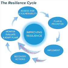 Unit 4 - Future Resilience and Adaption