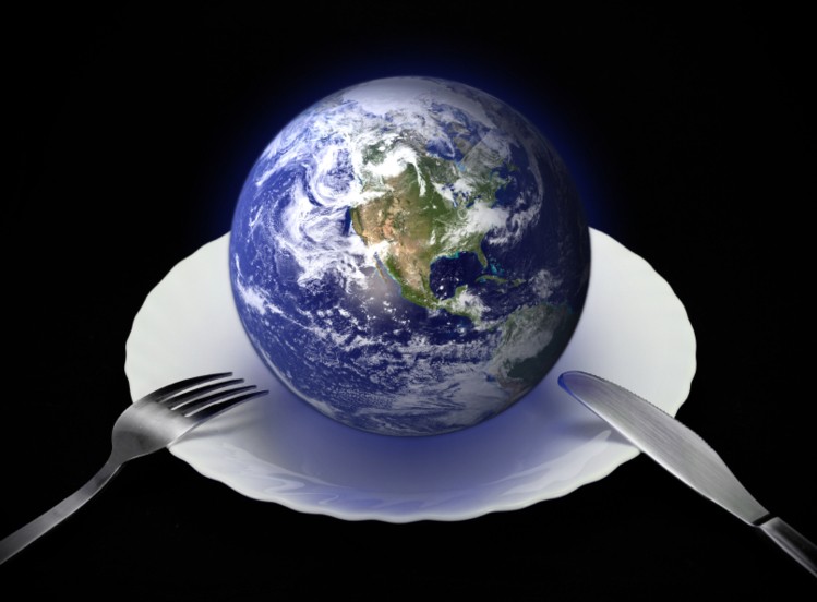 Option F - Food and Health