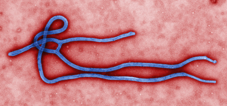 Vector Borne Disease and Water Borne Disease