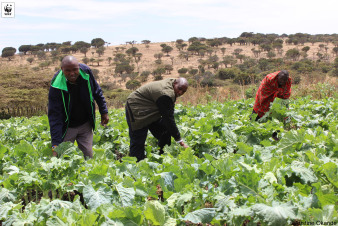 4. Water Management Futures