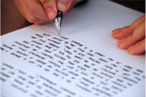 Model Climate Change Essay