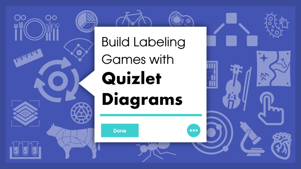 Revision Quizes