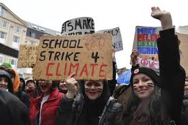 Chapter 6f - Civil Society and Corporate Strategies