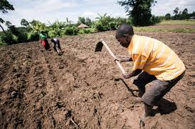Chapter 5e - Effects on Agriculture
