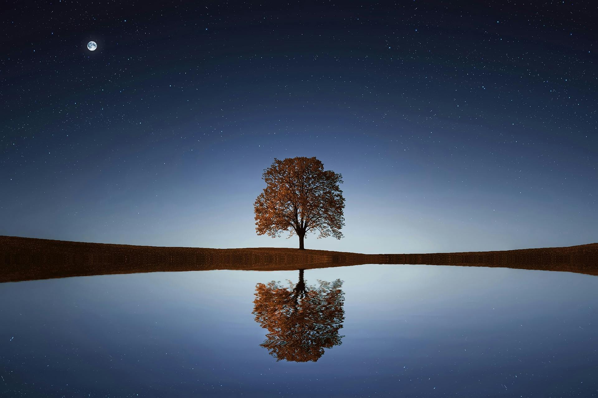 Reflecting on and Finalizing the Extended Essay