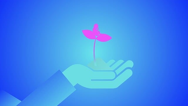 Reflections on an IB Evaluation