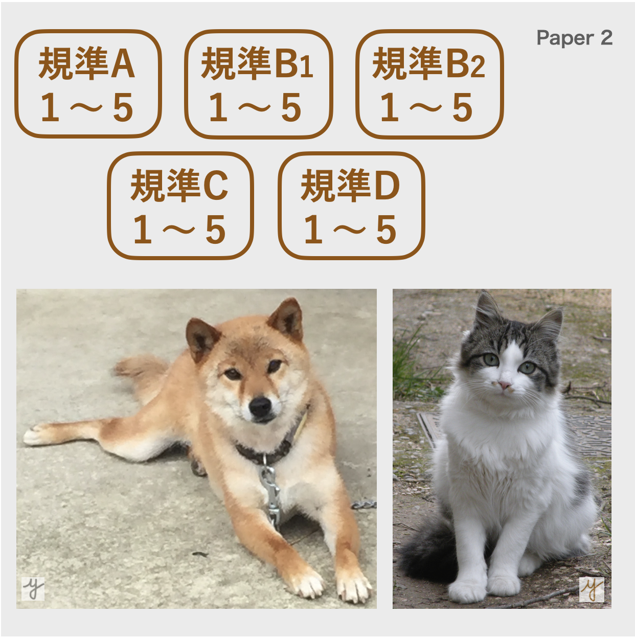 Paper 2　比較小論文　改訂版評価規準の理解と注意点（2026年5月試験から適用）