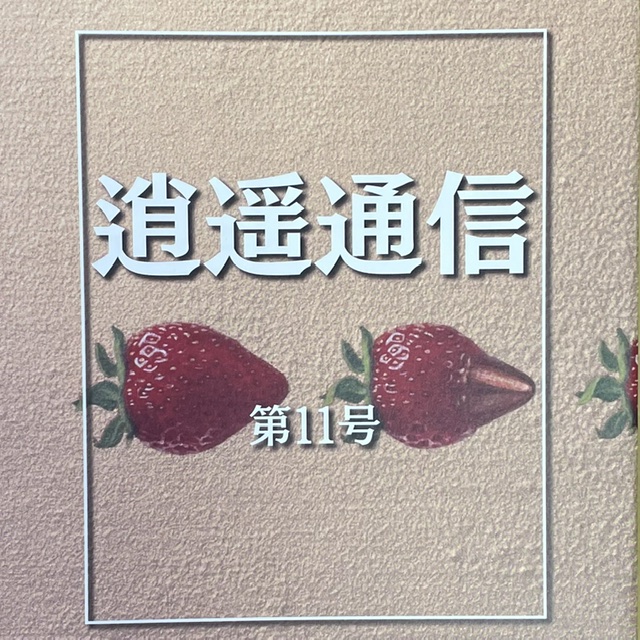 11　「逍遙通信第十一号」　誌上授業　『光まで5分』　桜木紫乃