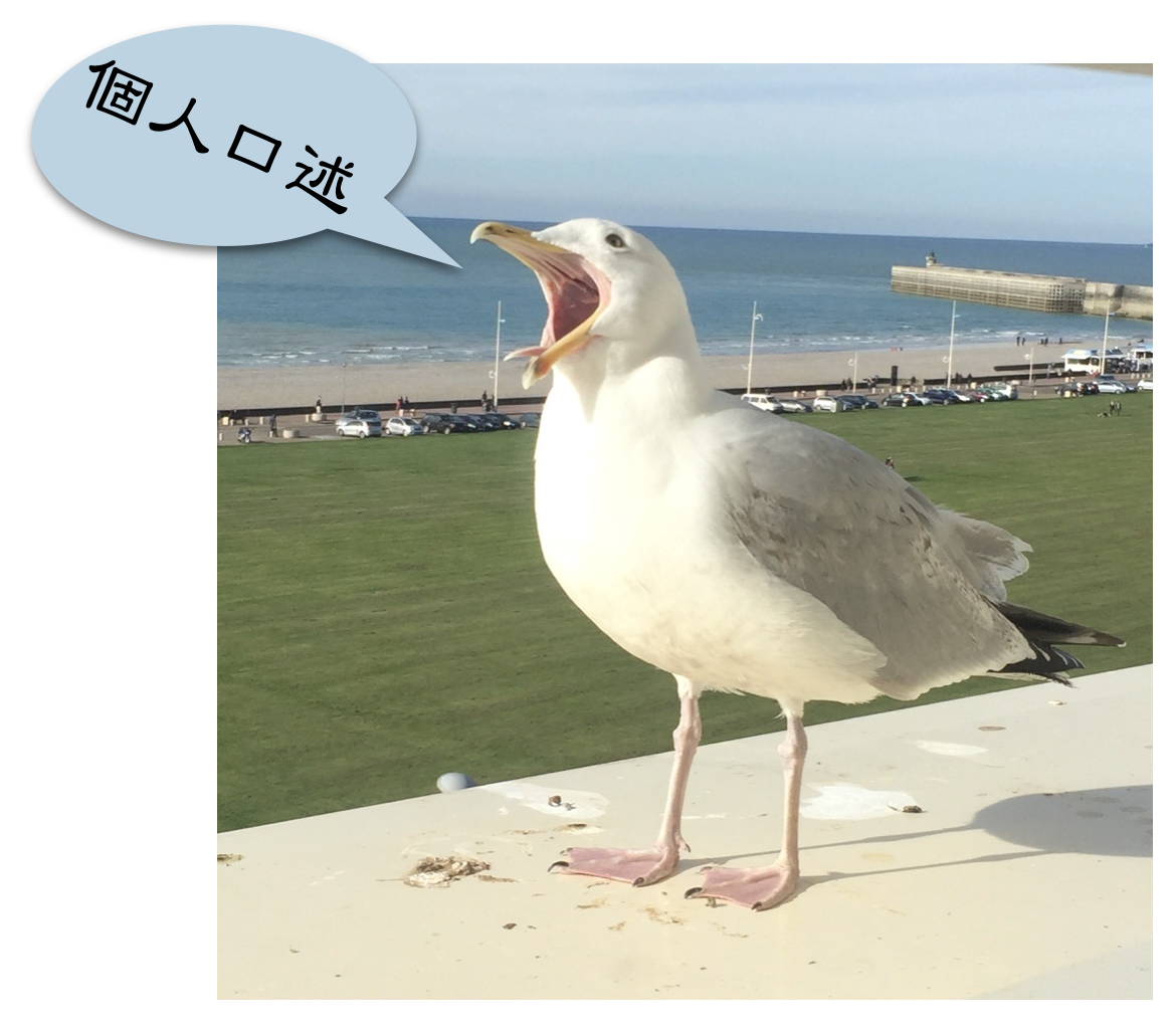 4. IO 個人口述