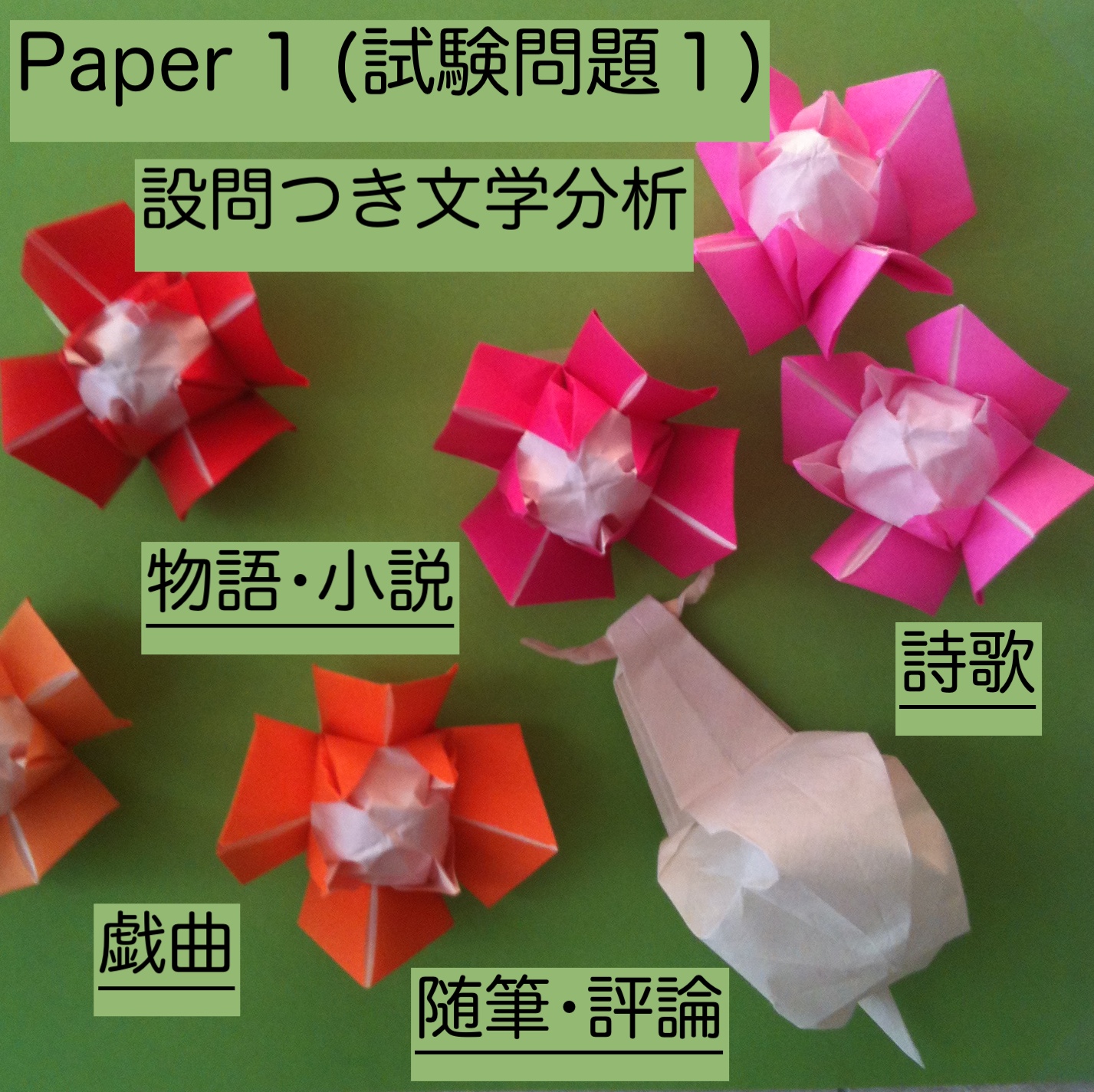 2. Paper 1 設問つき文学分析