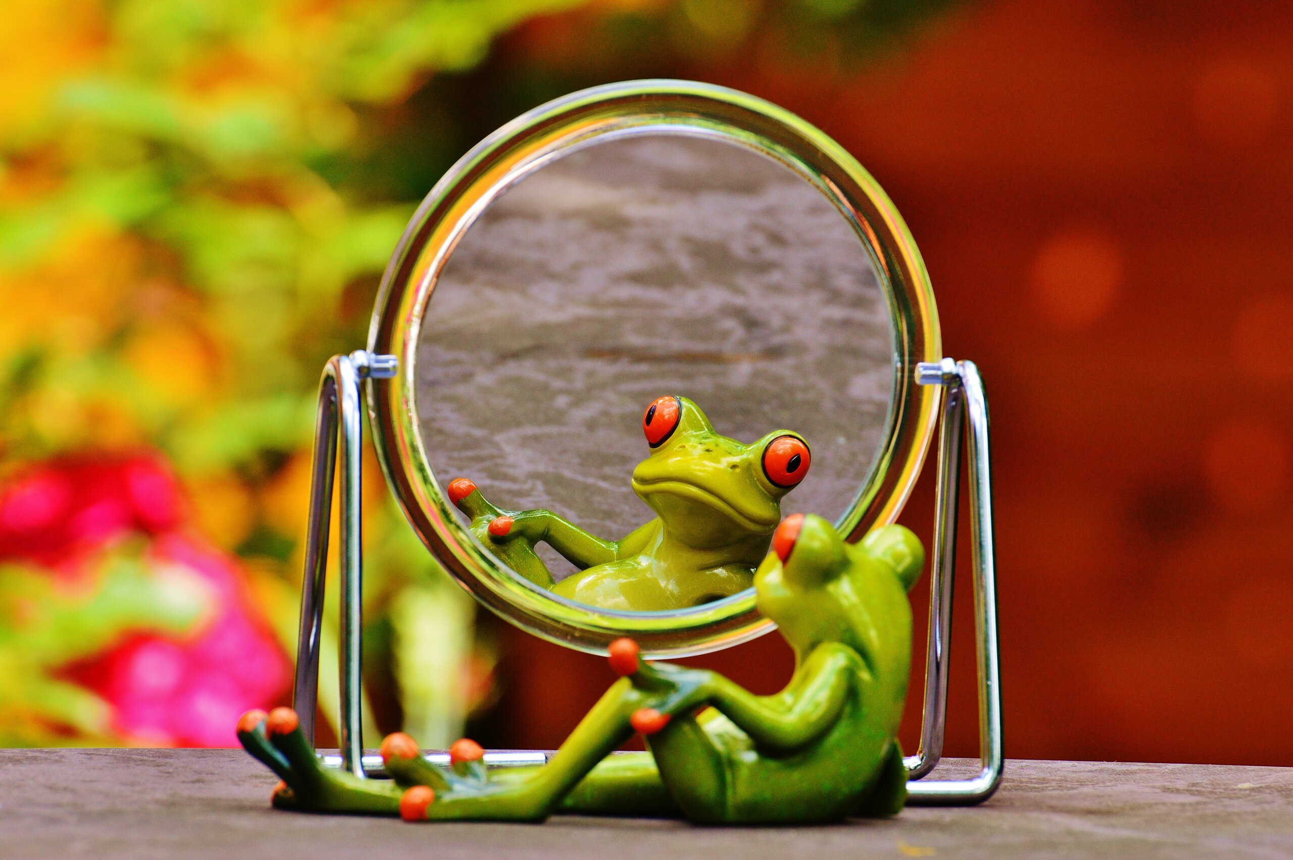 IB ATL: Self-Management