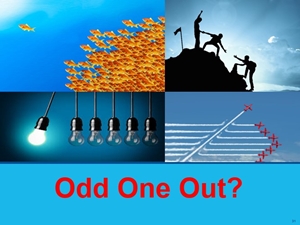 Odd One Out?