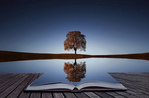 We are reflective practitioners