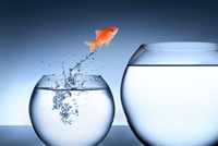 Change Management - Case Study
