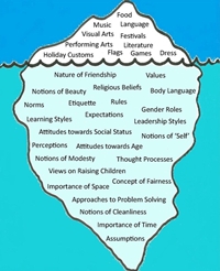 Understanding our culture