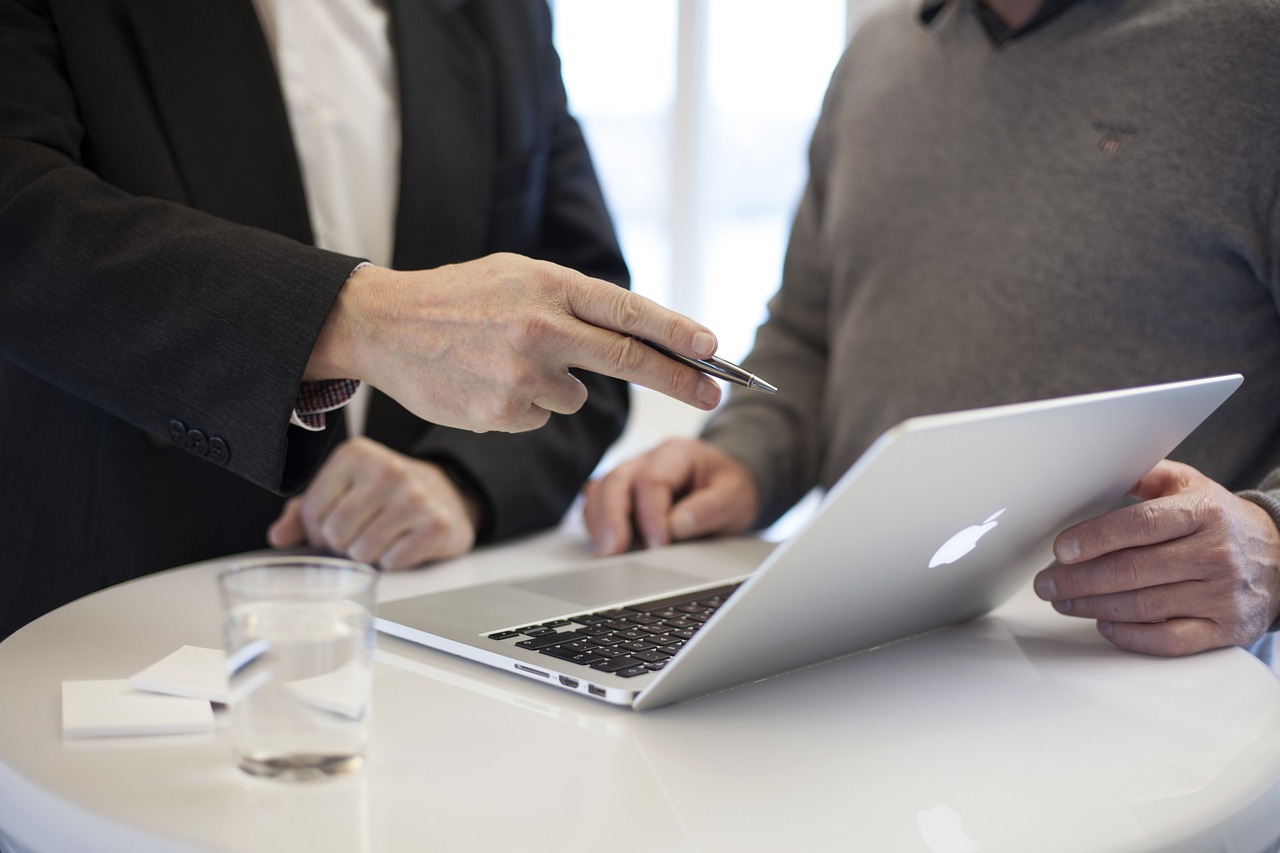 Role of the IB consultant