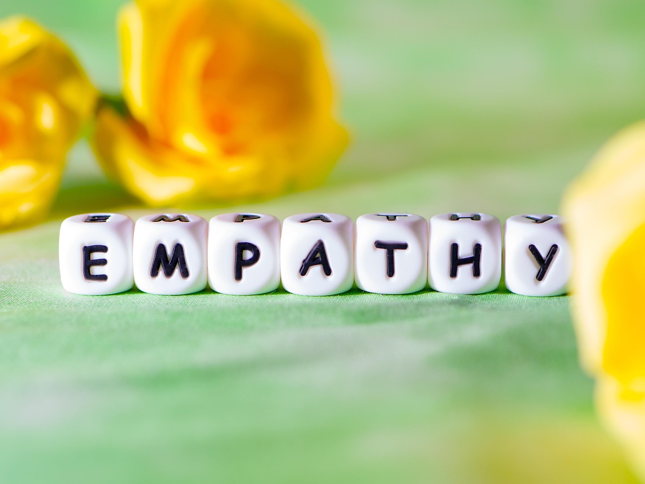 Reflection - Empathy