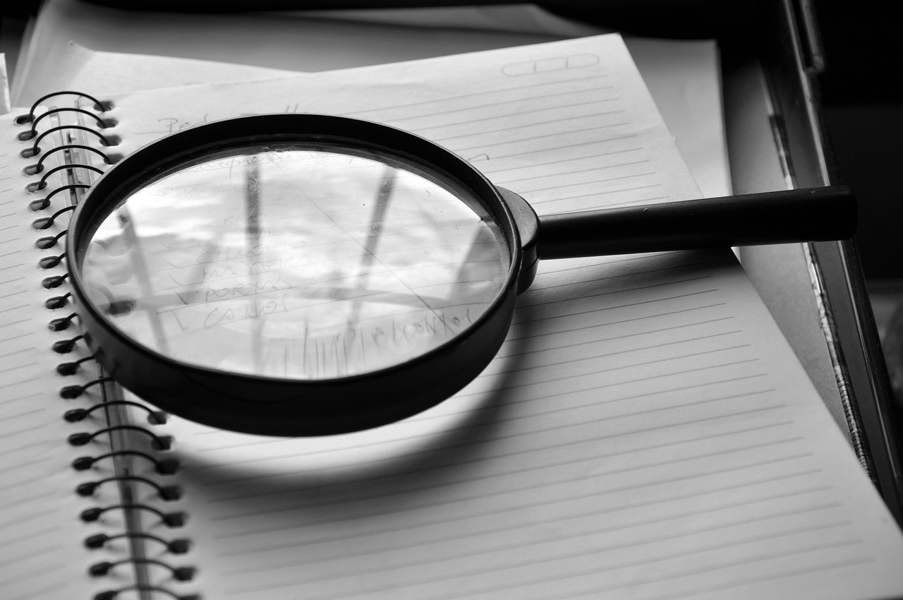 How does professional inquiry support programme development planning