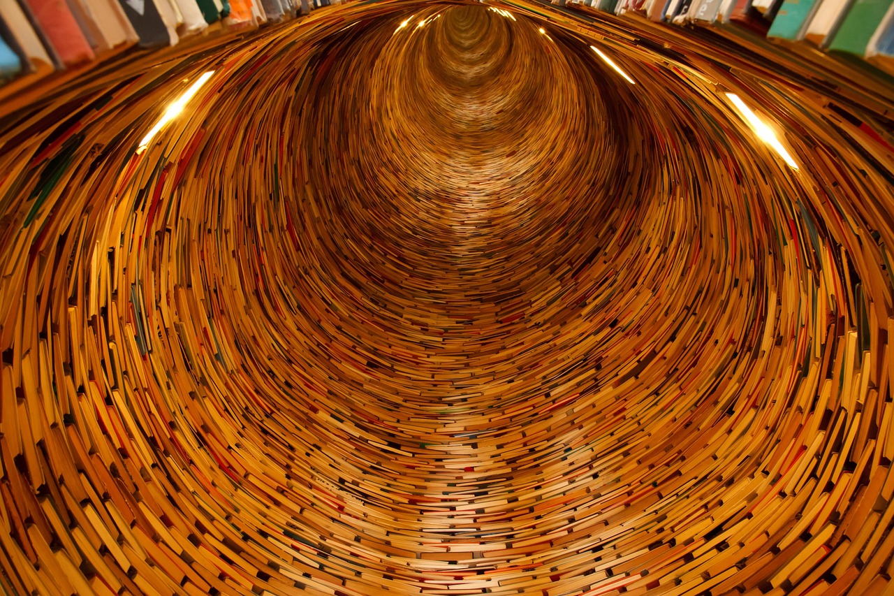 The role of the librarian