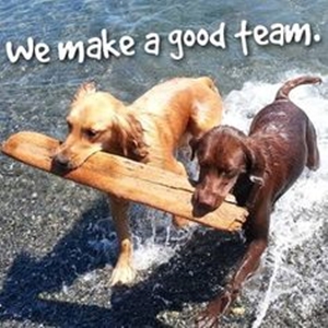 Team is everything