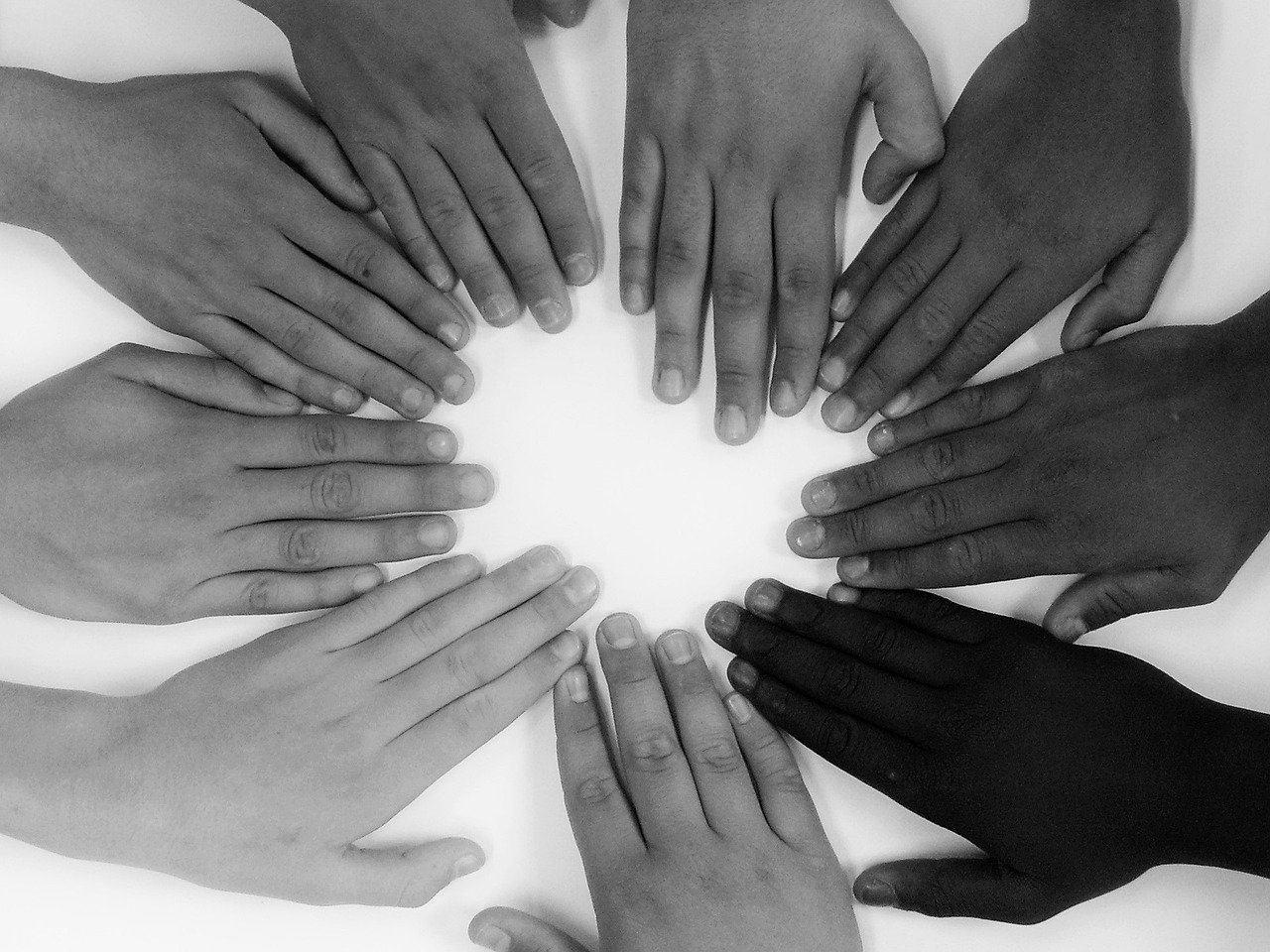 Developing a shared school culture