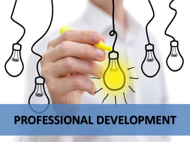Professional Learning (Development)